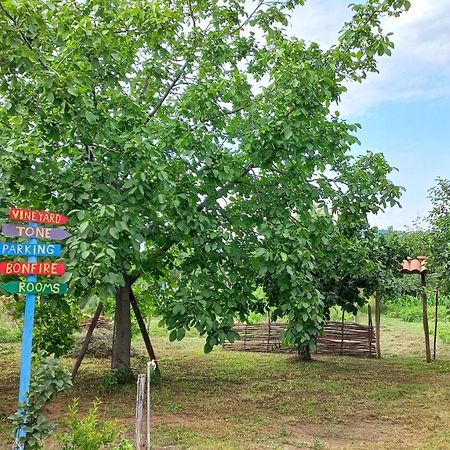 Veli Guest House • Საოჯახო Სასტუმრო Ველი Zemo Alvani Kültér fotó