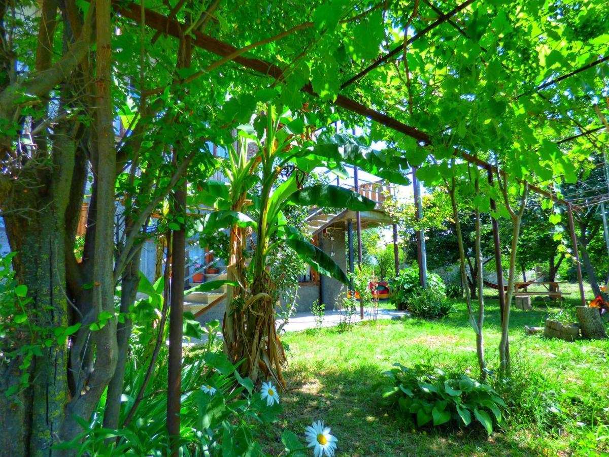 Veli Guest House • Საოჯახო Სასტუმრო Ველი Zemo Alvani Kültér fotó