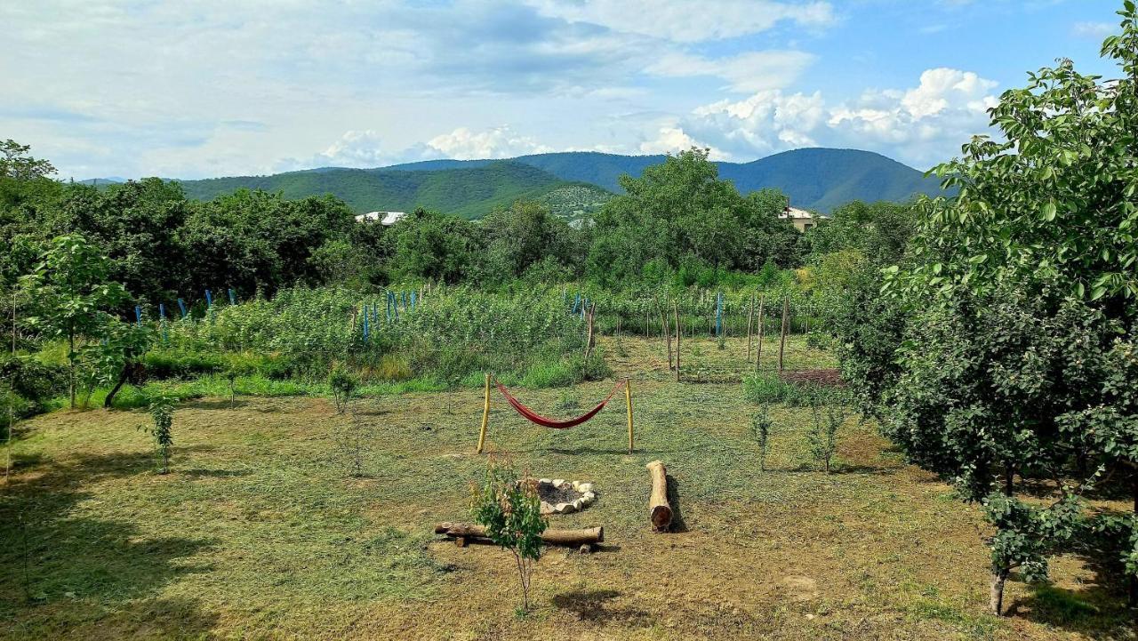 Veli Guest House • Საოჯახო Სასტუმრო Ველი Zemo Alvani Kültér fotó