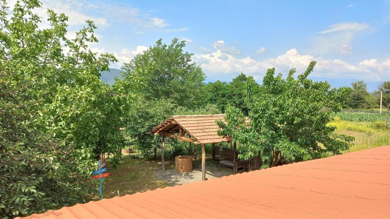 Veli Guest House • Საოჯახო Სასტუმრო Ველი Zemo Alvani Kültér fotó